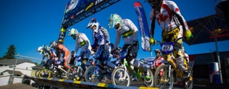 Saturday gate practice.